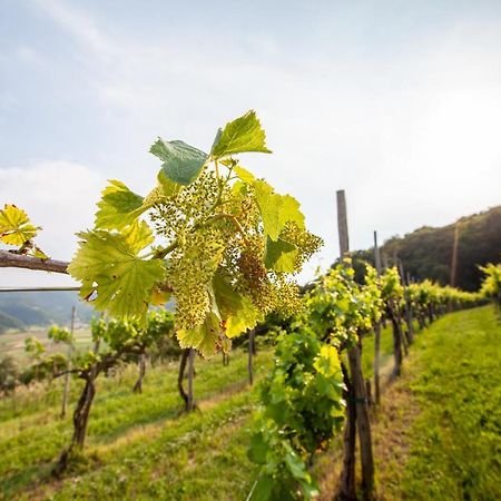 Fattoria Le Vegre Villa Arcugnano Exterior photo